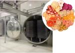 100Kg 200Kg Industrial Food Vacuum Freeze Drying Machine