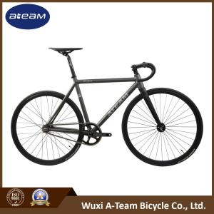 Quality Special High End DB Tubing Frame Fixie Racing Bikes wholesale