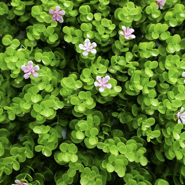 Outdoor Decorative Artificial Green Walls Panel G717 Flowers Grass Mixed 3D