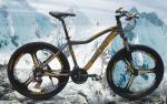 Integral Wheel Mountain Bike