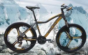 Quality Integral Wheel Mountain Bike wholesale