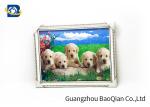 Stereograph Printing 3D Animals Images , 3D Lenticular Photo Home Wall Decor