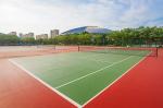 Non Pollution Polyurethaning Outdoor Sports Surfaces High Elasticity