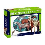 Educational Master 18cm 4d Anatomy Model 19 Parts