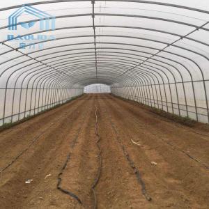 Quality Agricultural Single Span Tunnel Strawberry PE Greenhouse Tunnel Plastic Greenhouse wholesale