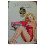 Vintage Sexy Lady Pin Up Girl Painting Tin signs, Metal Plate Art Poster, Wall