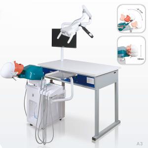 Quality School Ultraportable Dental Phantom Head , Removable Dental Simulation Unit wholesale