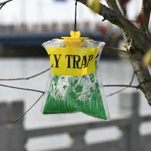 Quality Water-soluble Fly Trap for Safe and Effective Pest Management 55*44*43cm Carton Size wholesale