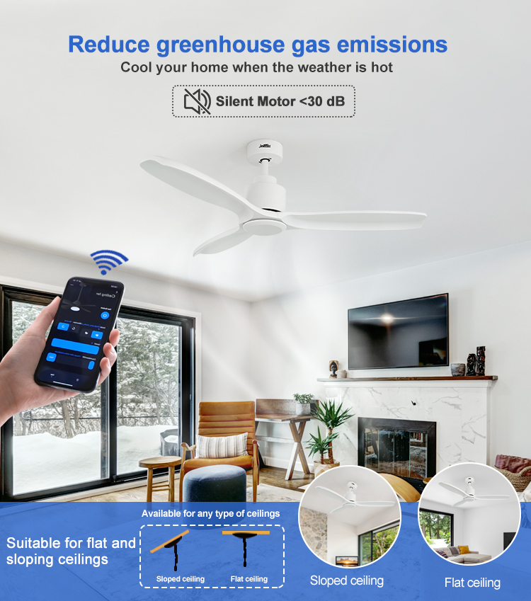 Class A Energy Efficiency Ceiling Fan with Comfortable Design and Adjustable Wind Speed