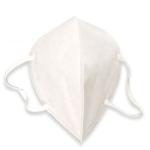 Earloop N95 Face Mask