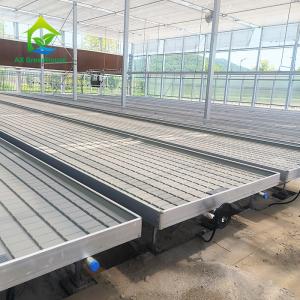 Quality Greenhouse Indoor Hydroponic Ebb And Flood Rolling Benches Grow Seed Table For Seeding wholesale