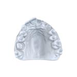 Repair Type Modeling Resin Dental 1kg / Bottle