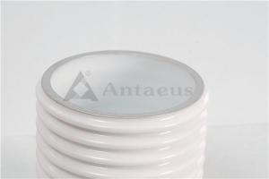 Quality ISO9001 Ceramic Protection Tube Metallized Electrical Hollow Ceramic Tubes wholesale