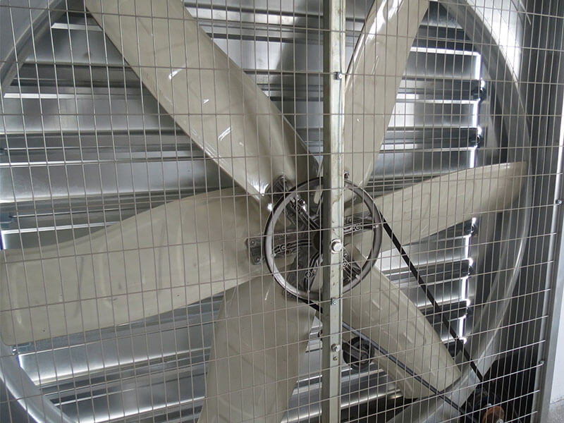 ISO9001 2008/CE/BV Certified Pig Farming Business Plan for Customized Cages and Pen