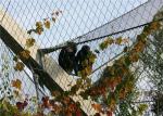 Wear Resisting Stainless Steel Cable Trellis Mesh For Green Wall Foundation