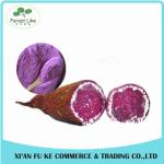 Instant Purple Sweet Potato Powder