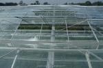 Maximize Harvest Super Strong Resistance Multi Span Agricultural Greenhouses