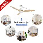 SAA Energy Saving Ceiling Fan AC Motor 3 Speed for Living Room