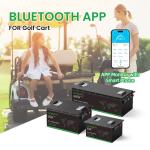 Customizable Electric Golf Trolley Lithium Battery 48volt Environmental Friendly
