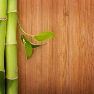 Quality Modern Solid Bamboo Floor For Popular Long Wood Plank Flooring wholesale