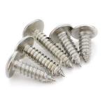 Stainless steel 304 cross large round head mushroom head self tapping screw