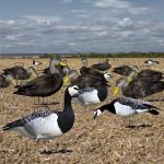 Reusable Plastic Lifelike Silhouette Geese Decoy Bait For Black Barnacle Goose