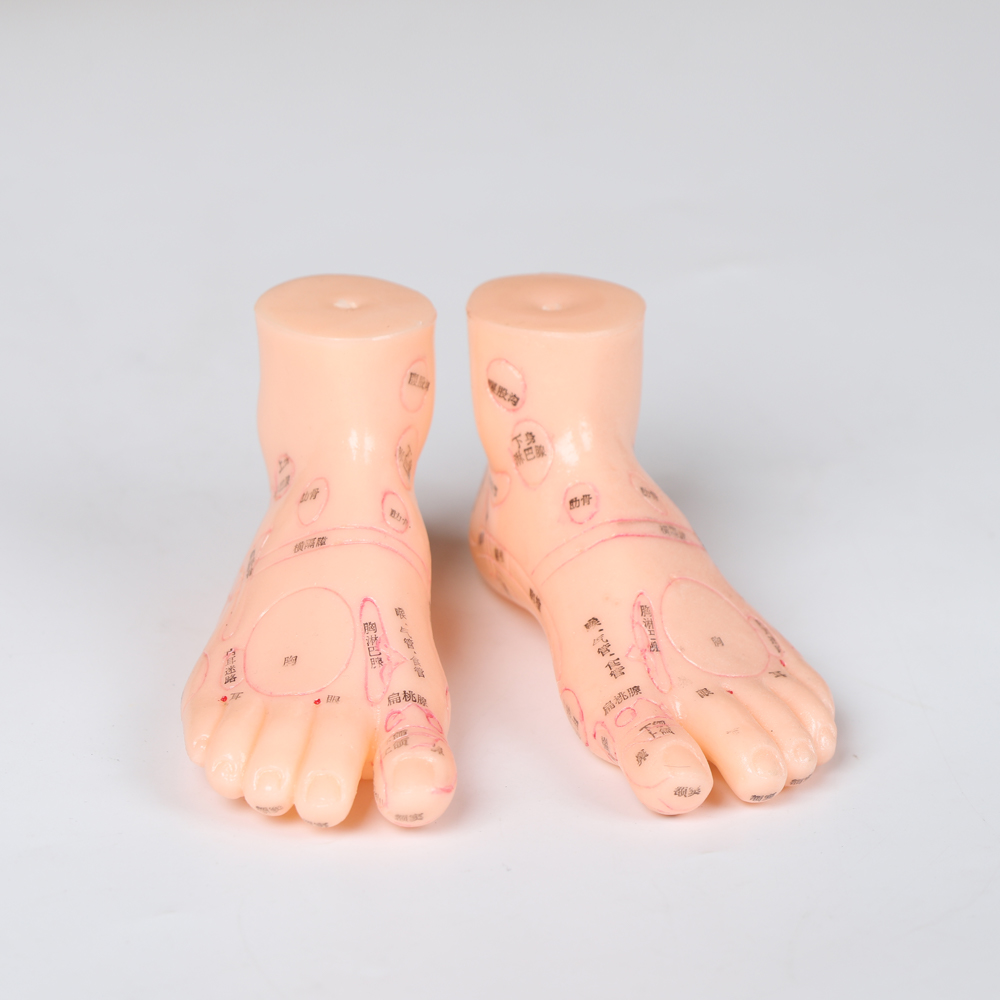 Chinese Acupuncture Body Model With Muscles 60/85/170cm