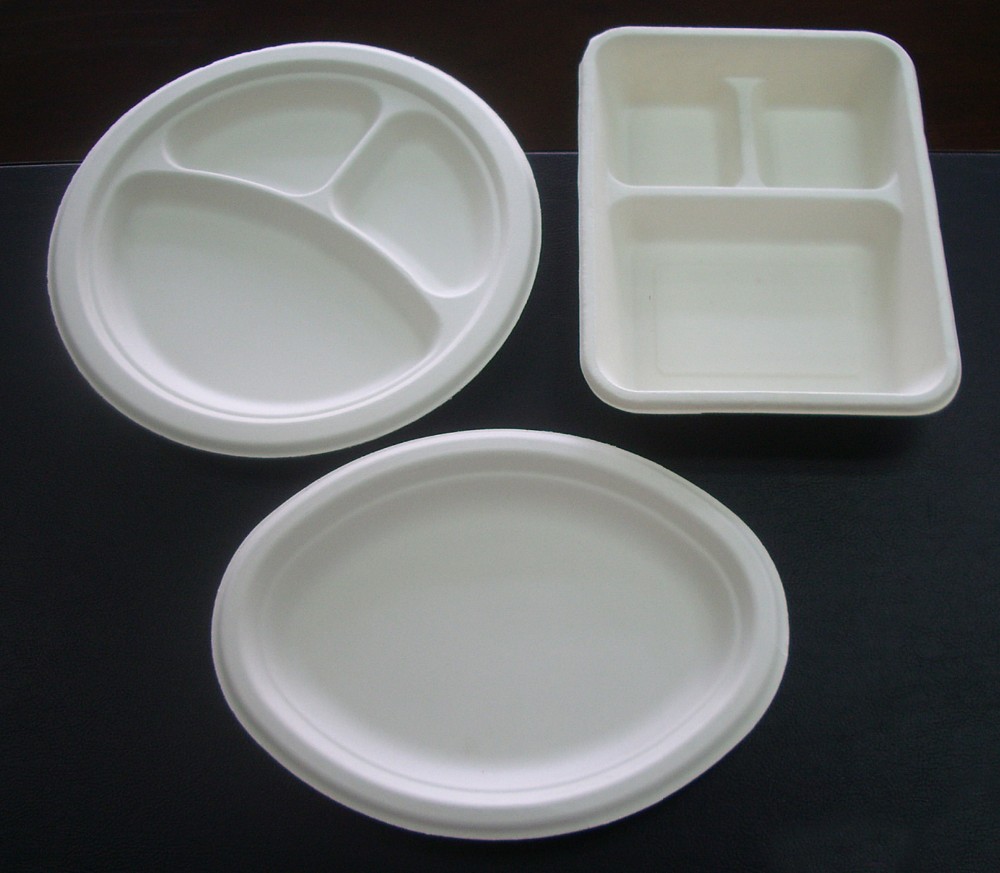 CE Certified Pulp Molding Tableware Machine 126kw Sugarcane Bagasse Making