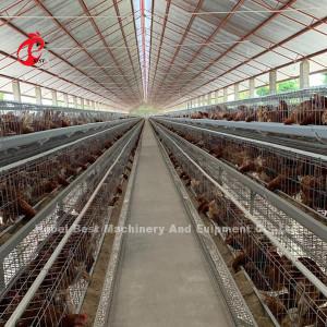 Quality Best Layer Poultry Farm Chicken Cage For Laying Hens 4 Tiers Mia wholesale