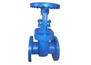 China Resilient Seat Rising Cast Iron Valve Metal Seated Gate Valve Body on sale