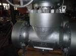 2500LB 24" Blowout Proof Top Entry Valve