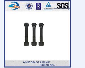China SGS BV Railway Fastener Hex Head Anchor Bolt HDG Railway Bolts on sale