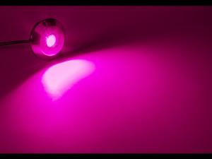Quality IP68 Waterproof Marine Underwater LED Dock Lights Red Emitting wholesale