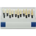 29 Colors Dental Lab Tools 3 D Resin Teeth Shade Guide Dental Teeth Color