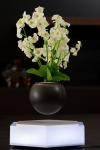 hotsale magnetic levitation floating bottom green pot air bonsai