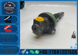 Quality Brand New Diesel High Pressure Common Rail Fuel Injector Y431K05558 Y431K05417 4964170 4964171 2867149 For QSK19 Diesel Engine wholesale