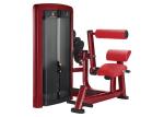 OEM Back Extension Gym Physical Workout Equipments