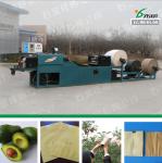 Paper bags machinery factory price