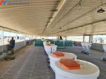 Customized Piggery Farm Equipment Fully Automatic Pig Wet Dry Feeder
