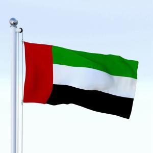 Quality The United Arab Emirates Flag 90x150cm knitted polyester national flag outdoor canvas header with grommets wholesale