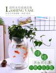 Glass hydroponic vase flowerpot transparent dinosaur egg green bamboo bamboo