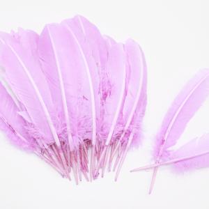 Quality Party Decoration Colored Turkey Feathers Event Supplies 10-12 inch wholesale