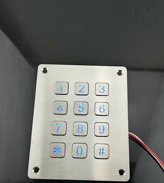 IP65 6X2 Layout numeric Metal dome Keypad With 12 flat key buttons for door lock system