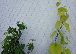 Quality 304 / 316 Stainless Steel Cable Trellis , Stainless Steel Green Wall Mesh wholesale