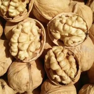 Quality Hulled Walnut Newest Crop for Performance wholesale