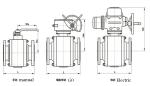 Trunnion-Mounted Ball Valve