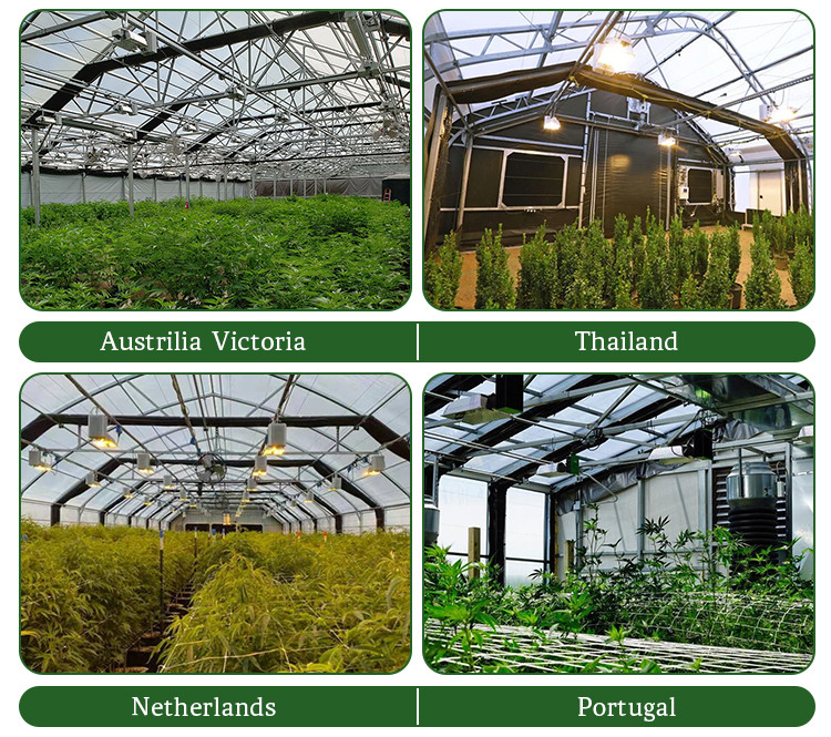 Agricultural Single Span 100% Shading 3 Layers Automatic Herb Growing Light Deprivation Blackout Greenhouse