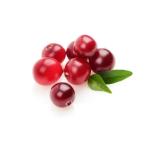 Cranberry Extract Powder Anthocyanidins Extract Cyanidin Powder