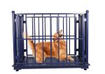 3000kg Livestock Scales For Cattle , 60HZ Sheep Weighing Scales