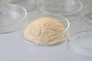 Quality Catalase Industrial Enzyme Soluble In Water wholesale